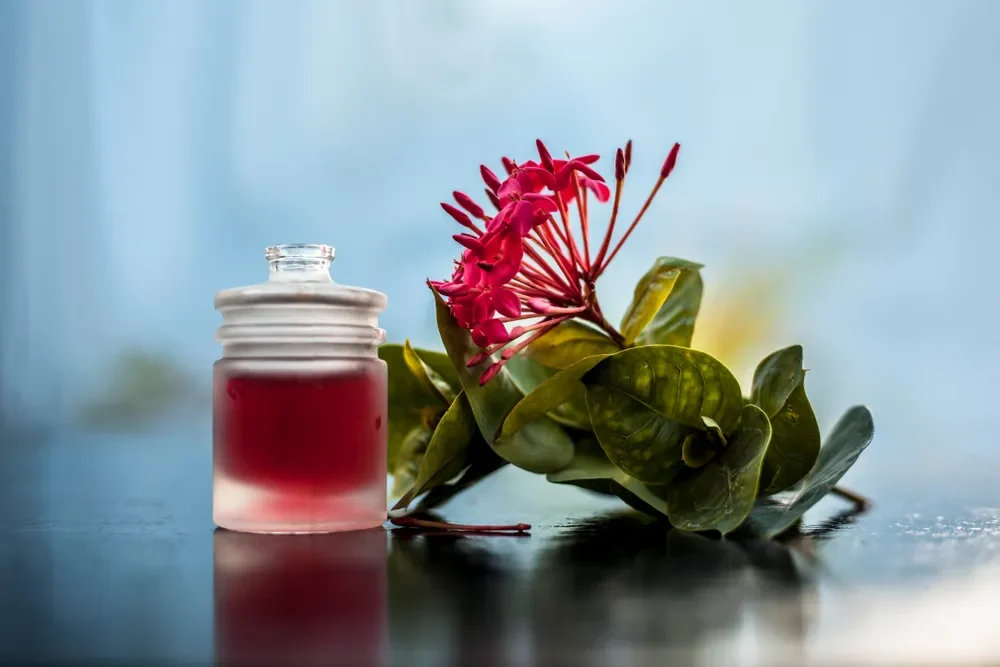 Egyptska harmonizujici masaz v olomouci studiorevitall